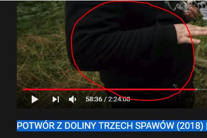 Przechwytywanie.jpg